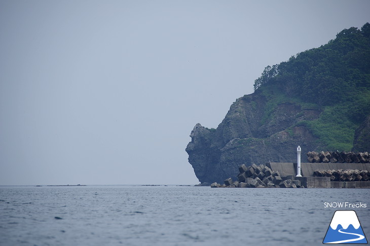 真夏の北海道・小樽塩谷 シーカヤックで目指せ『青の洞窟』！